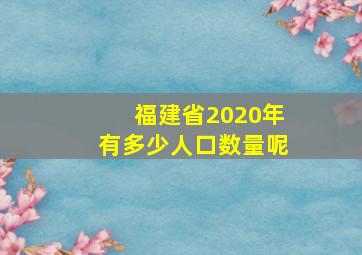 福建省2020年有多少人口数量呢