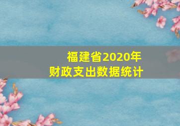 福建省2020年财政支出数据统计