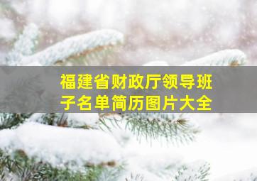 福建省财政厅领导班子名单简历图片大全