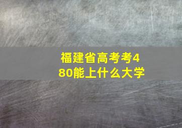 福建省高考考480能上什么大学