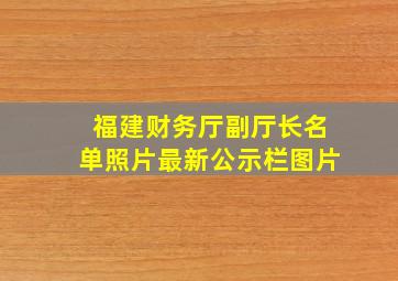 福建财务厅副厅长名单照片最新公示栏图片