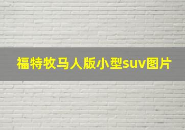 福特牧马人版小型suv图片