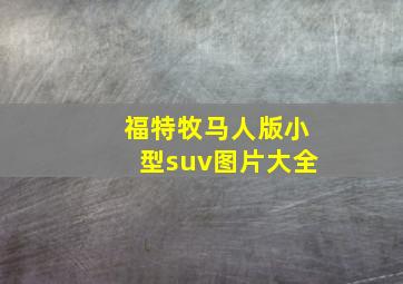 福特牧马人版小型suv图片大全