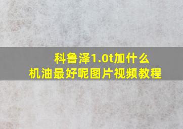 科鲁泽1.0t加什么机油最好呢图片视频教程