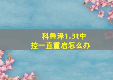 科鲁泽1.3t中控一直重启怎么办