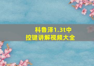 科鲁泽1.3t中控键讲解视频大全