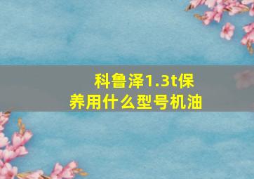 科鲁泽1.3t保养用什么型号机油