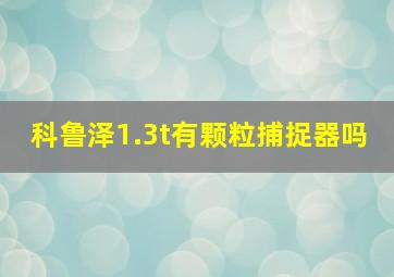 科鲁泽1.3t有颗粒捕捉器吗