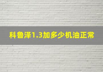 科鲁泽1.3加多少机油正常