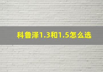 科鲁泽1.3和1.5怎么选