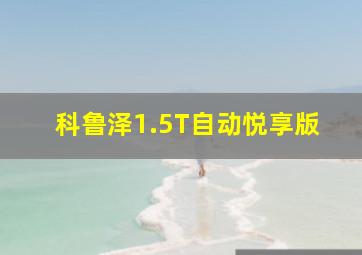 科鲁泽1.5T自动悦享版