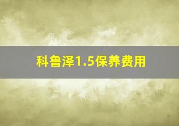 科鲁泽1.5保养费用