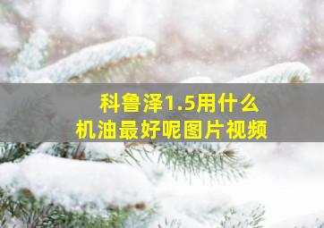 科鲁泽1.5用什么机油最好呢图片视频