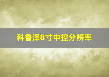 科鲁泽8寸中控分辨率