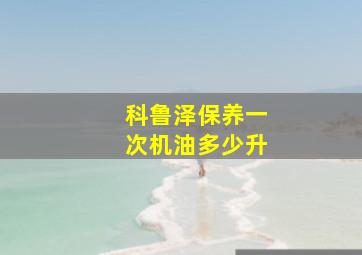 科鲁泽保养一次机油多少升