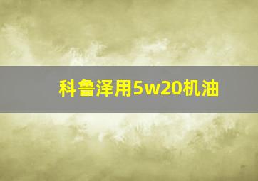 科鲁泽用5w20机油