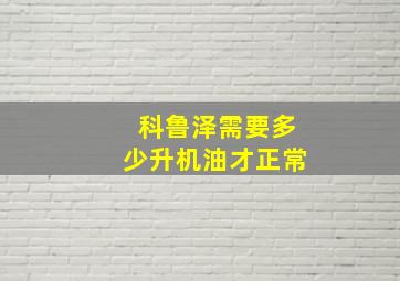 科鲁泽需要多少升机油才正常