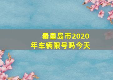 秦皇岛市2020年车辆限号吗今天