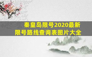 秦皇岛限号2020最新限号路线查询表图片大全