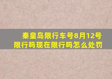 秦皇岛限行车号8月12号限行吗现在限行吗怎么处罚