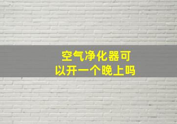 空气净化器可以开一个晚上吗