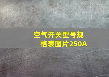 空气开关型号规格表图片250A