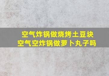 空气炸锅做烧烤土豆块空气空炸锅做萝卜丸子吗