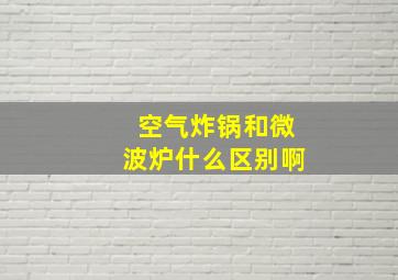 空气炸锅和微波炉什么区别啊