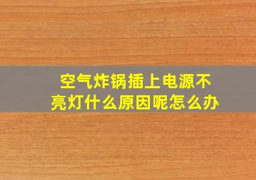 空气炸锅插上电源不亮灯什么原因呢怎么办