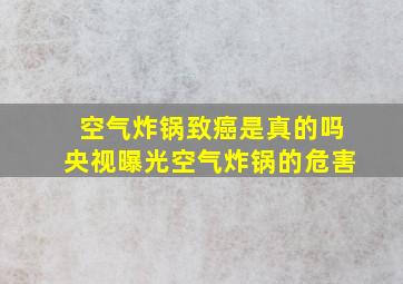 空气炸锅致癌是真的吗央视曝光空气炸锅的危害