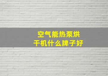 空气能热泵烘干机什么牌子好