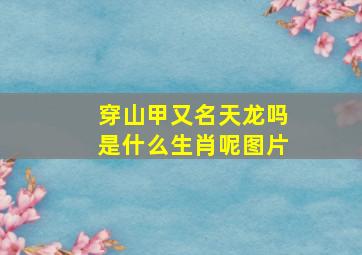 穿山甲又名天龙吗是什么生肖呢图片