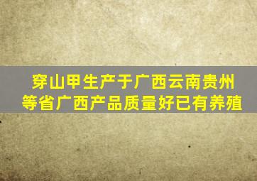 穿山甲生产于广西云南贵州等省广西产品质量好已有养殖