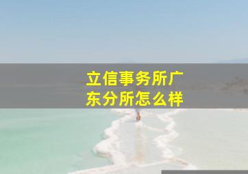 立信事务所广东分所怎么样