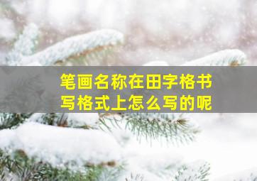 笔画名称在田字格书写格式上怎么写的呢