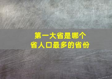 第一大省是哪个省人口最多的省份