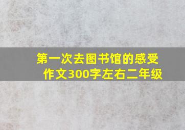 第一次去图书馆的感受作文300字左右二年级