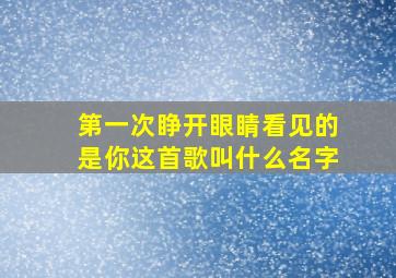 第一次睁开眼睛看见的是你这首歌叫什么名字