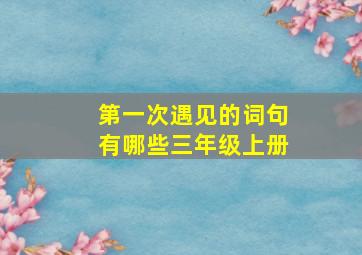 第一次遇见的词句有哪些三年级上册