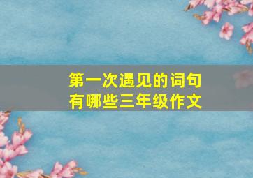 第一次遇见的词句有哪些三年级作文