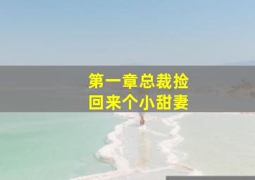 第一章总裁捡回来个小甜妻