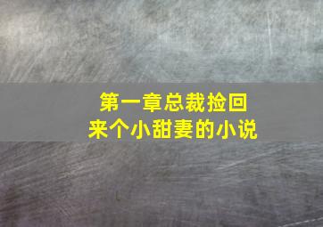 第一章总裁捡回来个小甜妻的小说