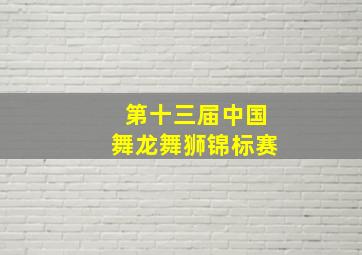 第十三届中国舞龙舞狮锦标赛