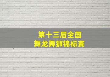 第十三届全国舞龙舞狮锦标赛