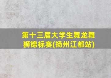 第十三届大学生舞龙舞狮锦标赛(扬州江都站)