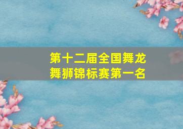 第十二届全国舞龙舞狮锦标赛第一名