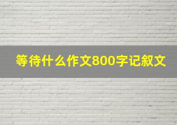 等待什么作文800字记叙文