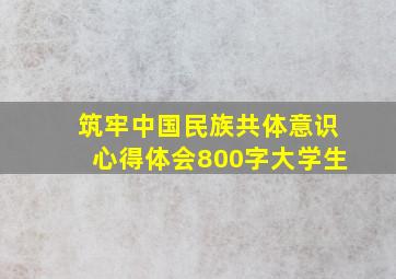 筑牢中国民族共体意识心得体会800字大学生