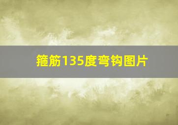 箍筋135度弯钩图片