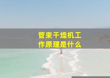 管束干燥机工作原理是什么